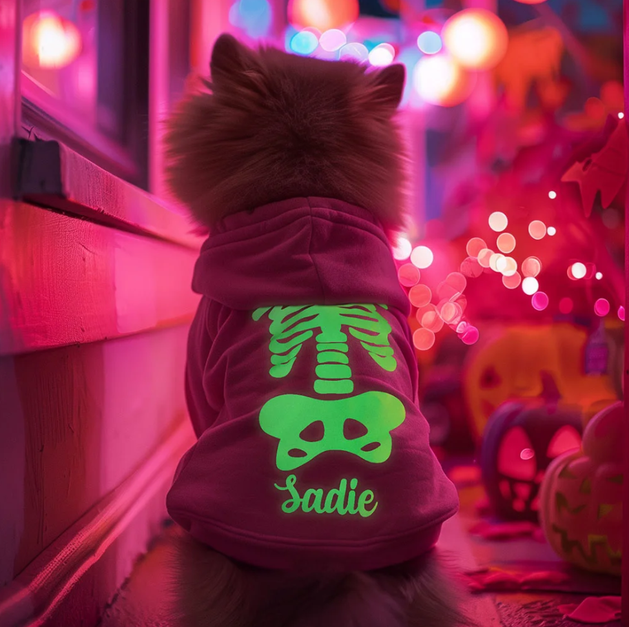 Även din pälskling ska klä ut sig! Skräddarsy Halloween-kostymer och brickor för husdjur – imponera på festen