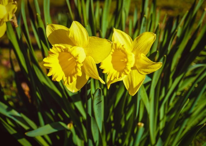 30 bästa mars-citat för att njuta av din tid