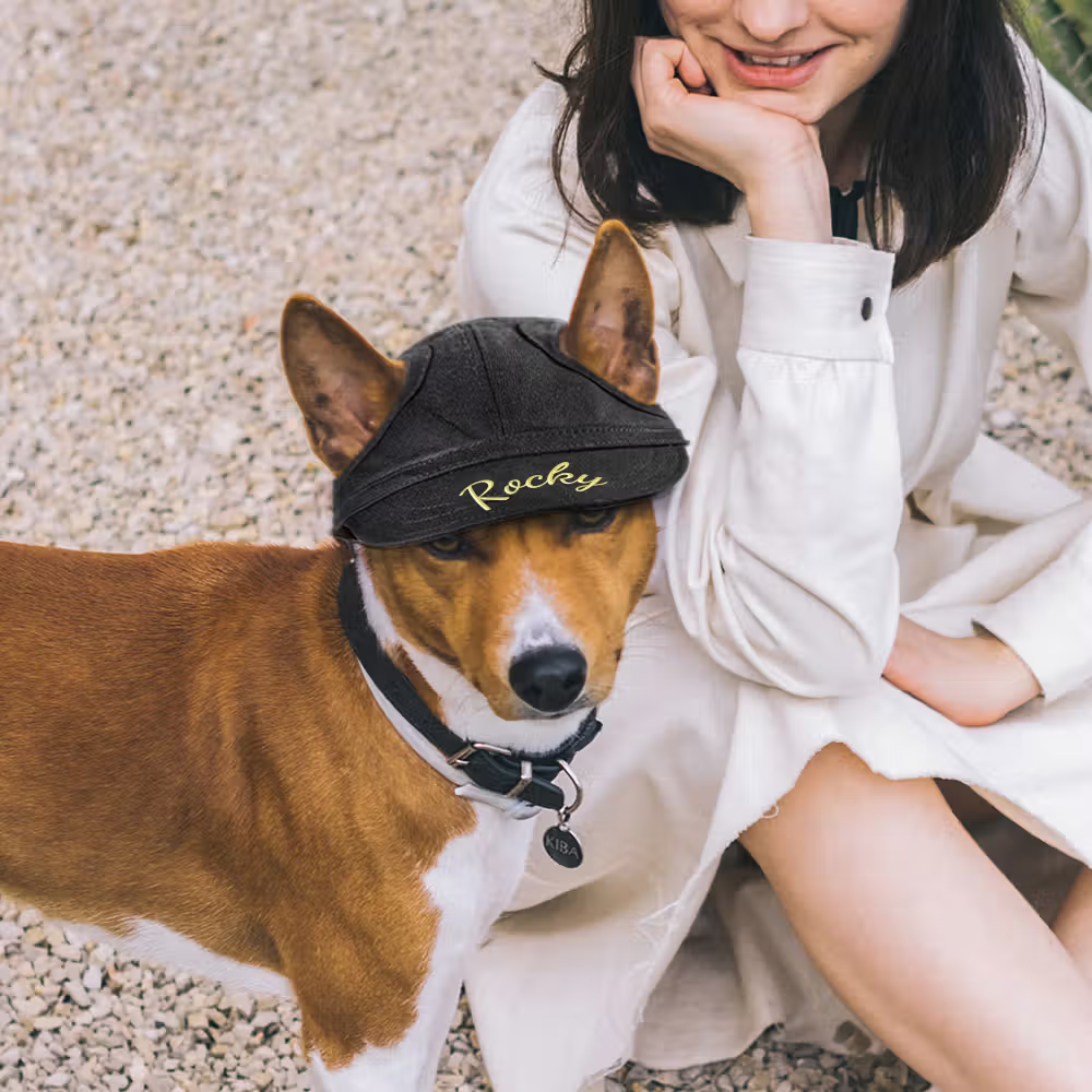 80+ Hundcitat och bildtexter till Instagram